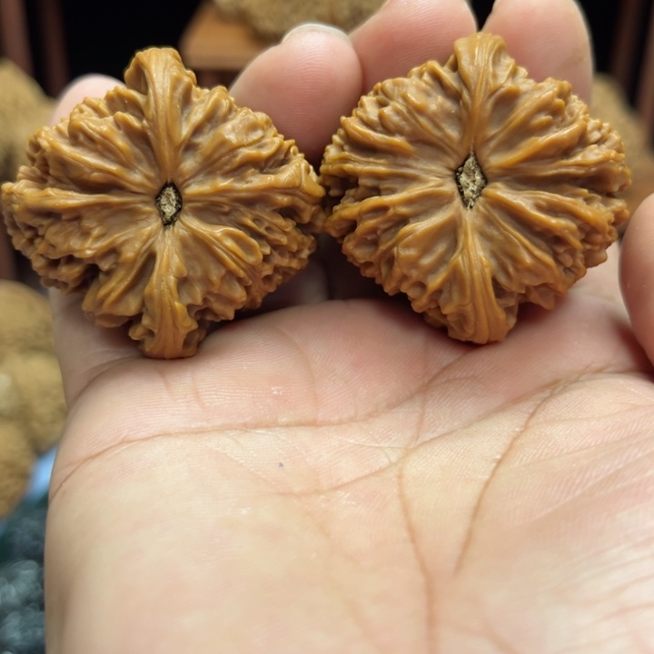 完全开放卍*卍南疆石