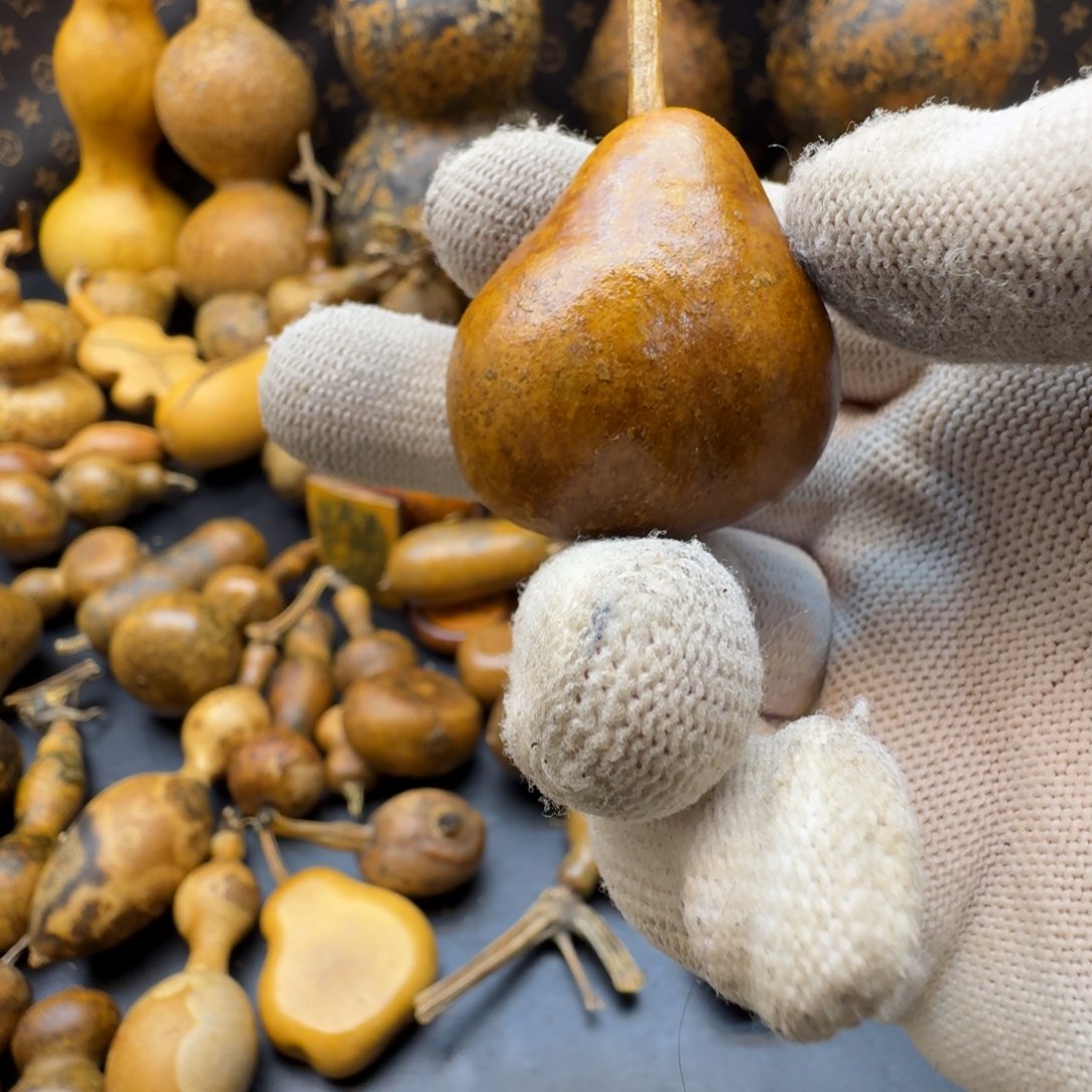 玺***寳葫芦葫芦葫芦葫芦