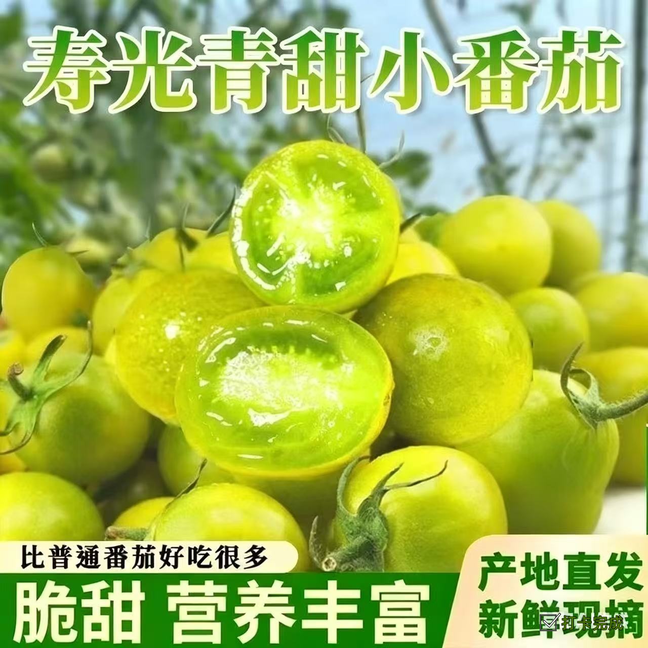【寿光源头直发】青甜2号绿宝石小番茄皮薄多汁新鲜水果包邮到家