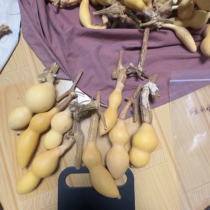 怪***？精品葫芦柏人优选