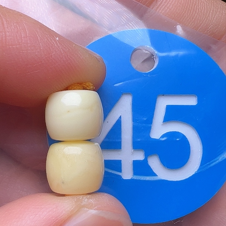 蜜蜡裸石未镶嵌微瑕8.8m m