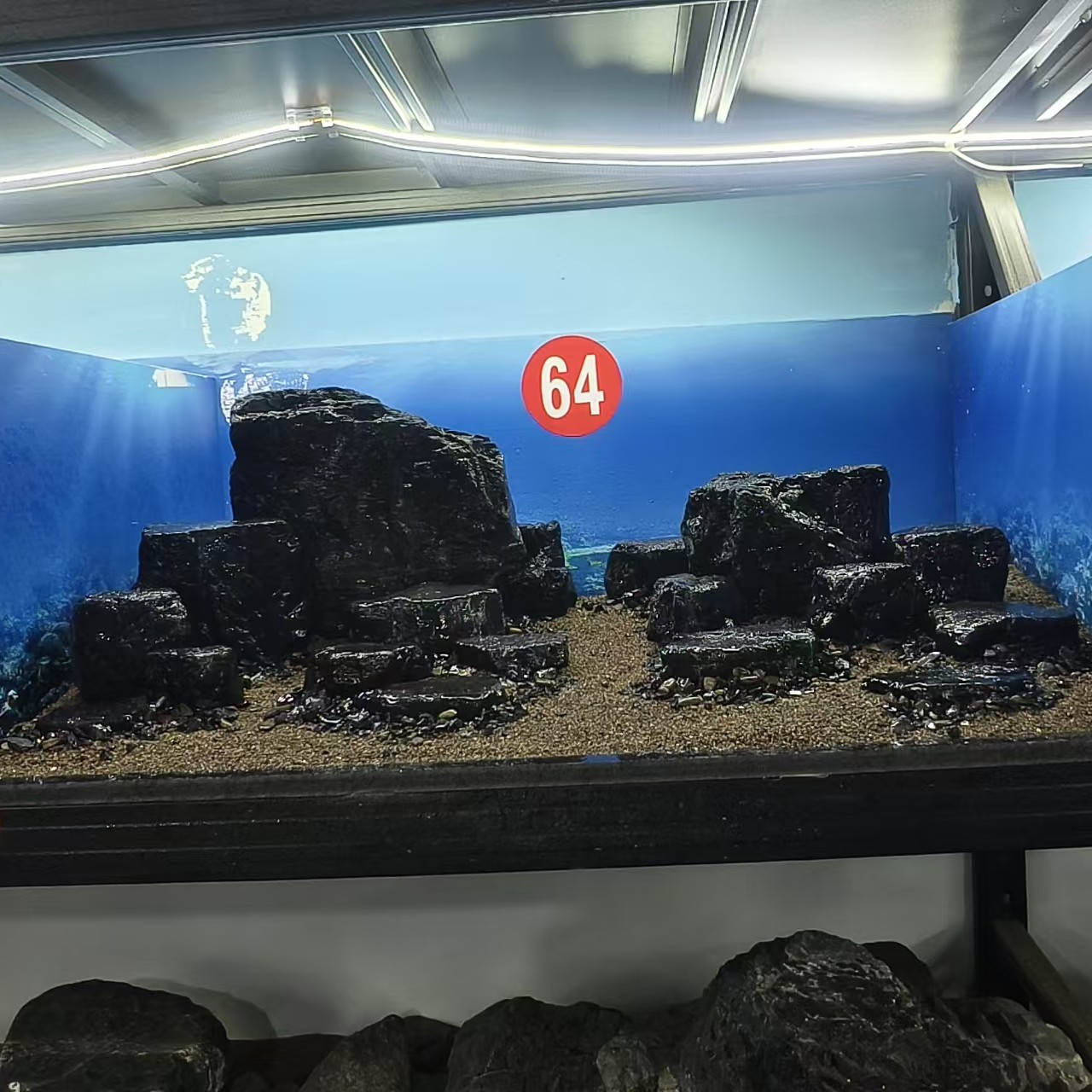 【鱼缸造景】黑金峡谷溪流石80/40可用送点缀石