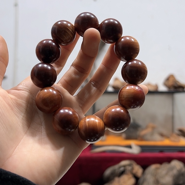 柏木雨**城我们都是好孩子呀我