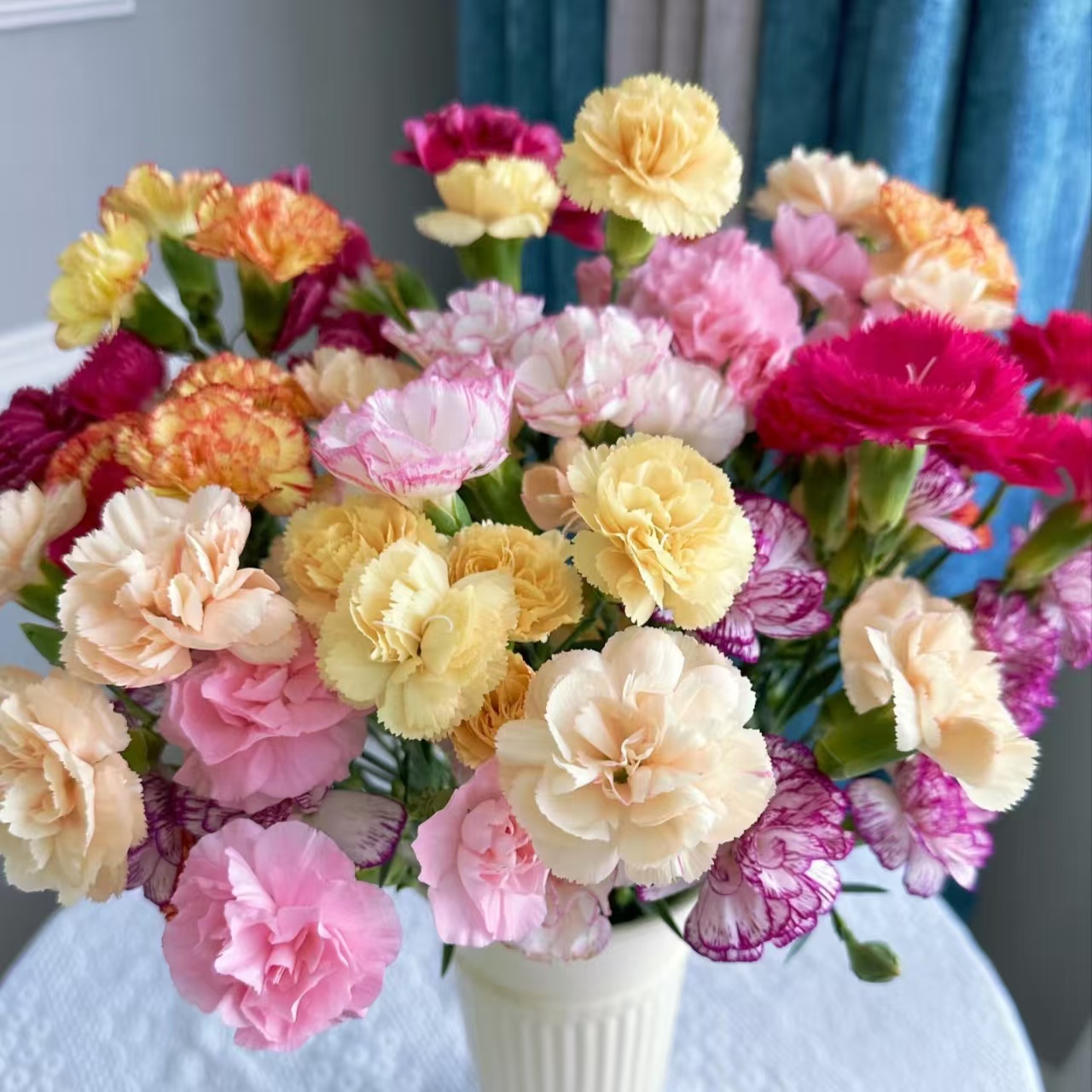 【康乃馨】随机色多头康乃馨80枝 |家庭养花插花