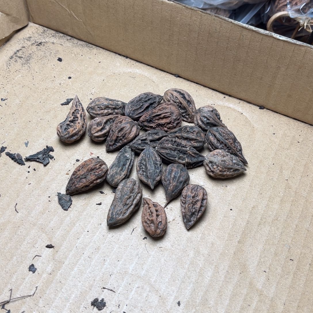 手串文玩核桃核桃68