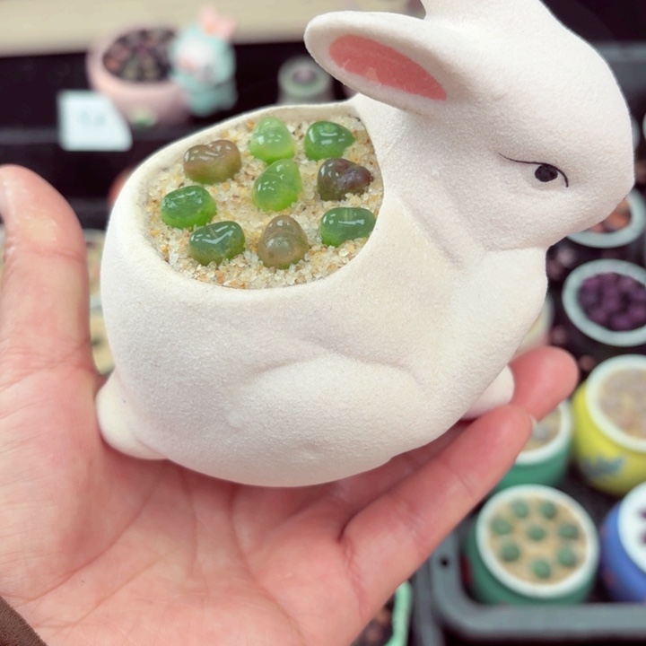 826清库存快来捡福利哦