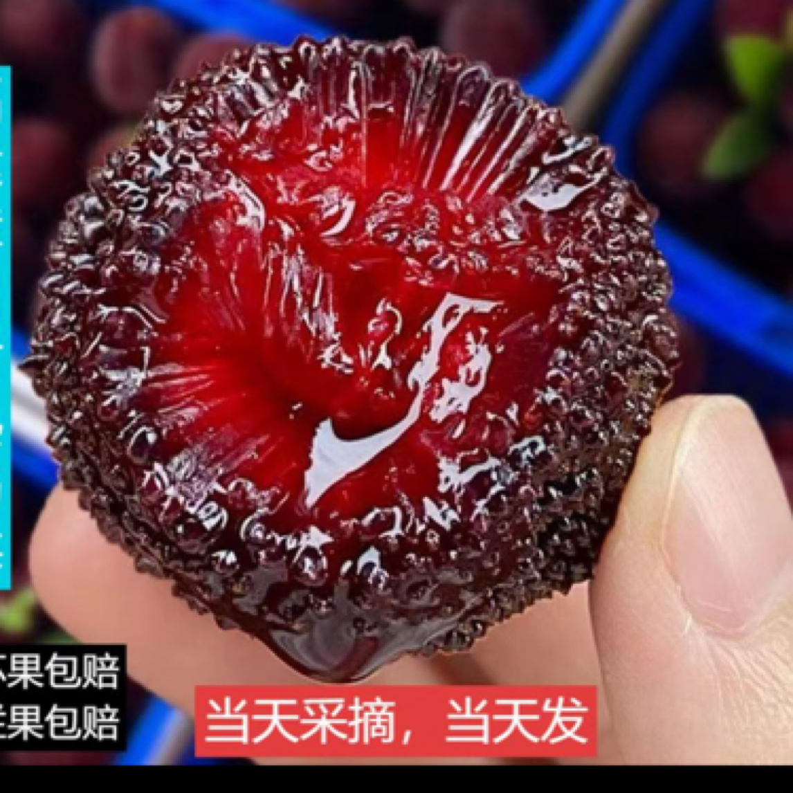 金灶本地东魁杨梅浙江红 当天新鲜采摘 大颗饱满 肉质脆甜 1000g新鲜杨梅广东省