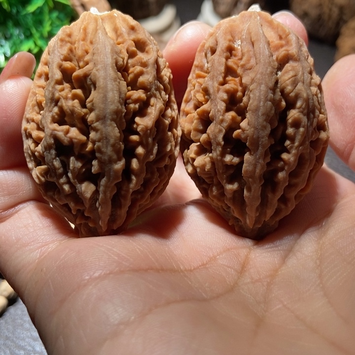 把件文玩核桃东北楸子小雪267