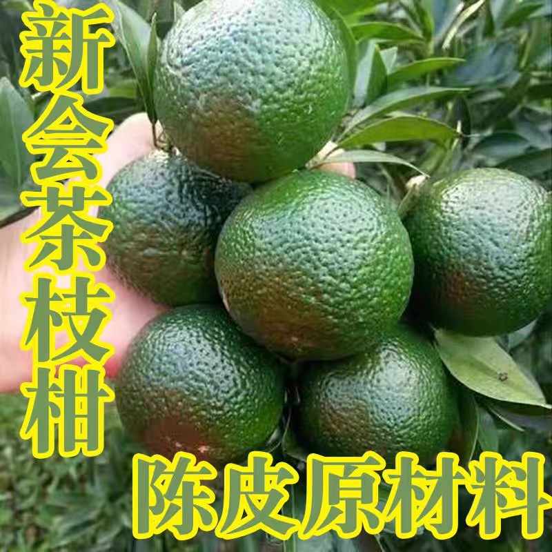 正宗新会柑大青柑茶枝柑陈皮果陈皮柑大青柑青皮自家果园鲜果直摘
