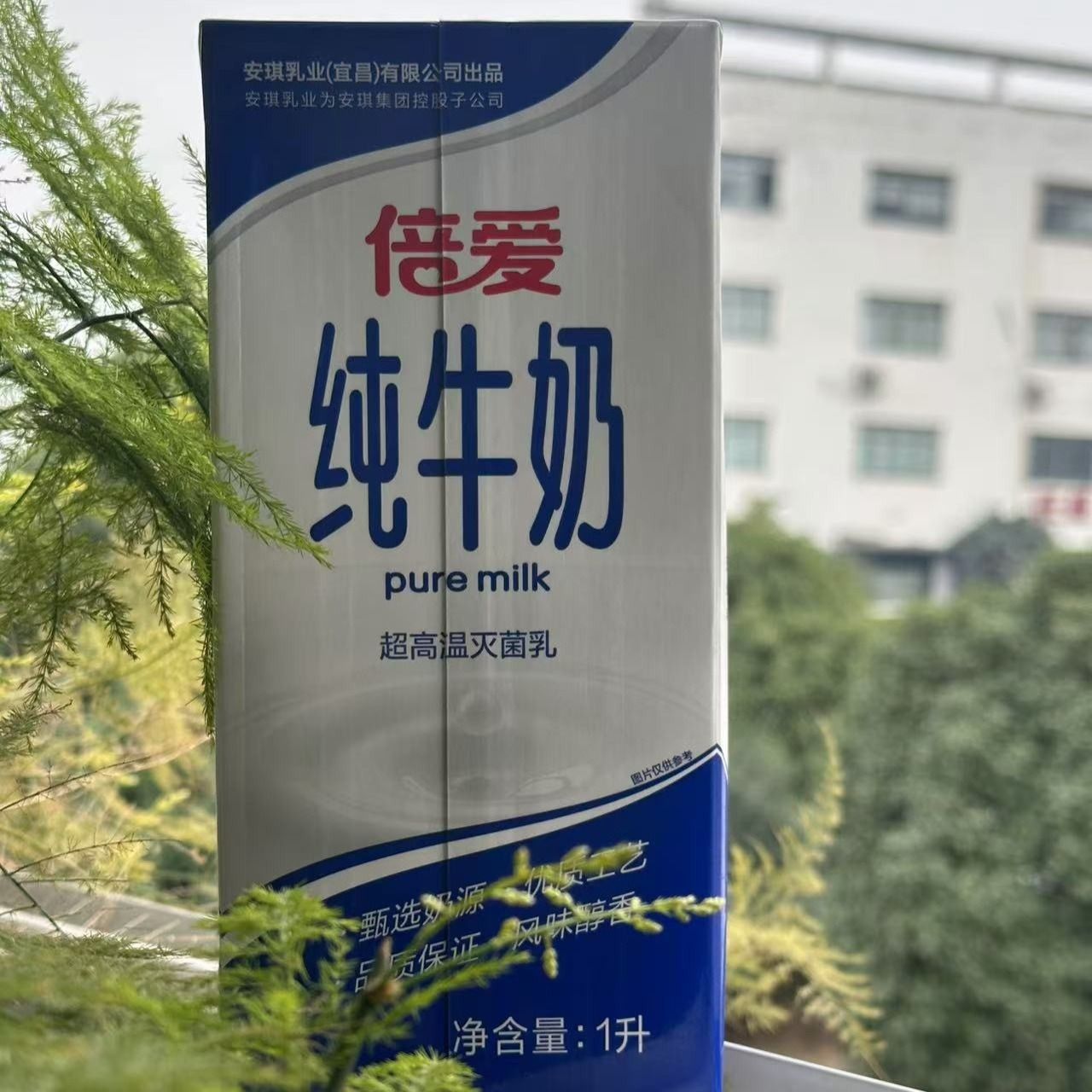喜旺倍爱纯牛奶1L（小时达）