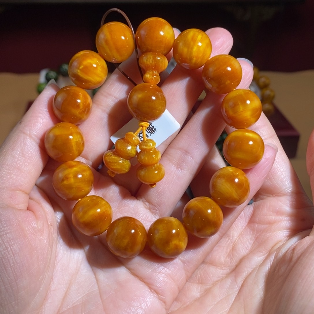 贝壳杉帝王血龙木1.5玉化龙胆