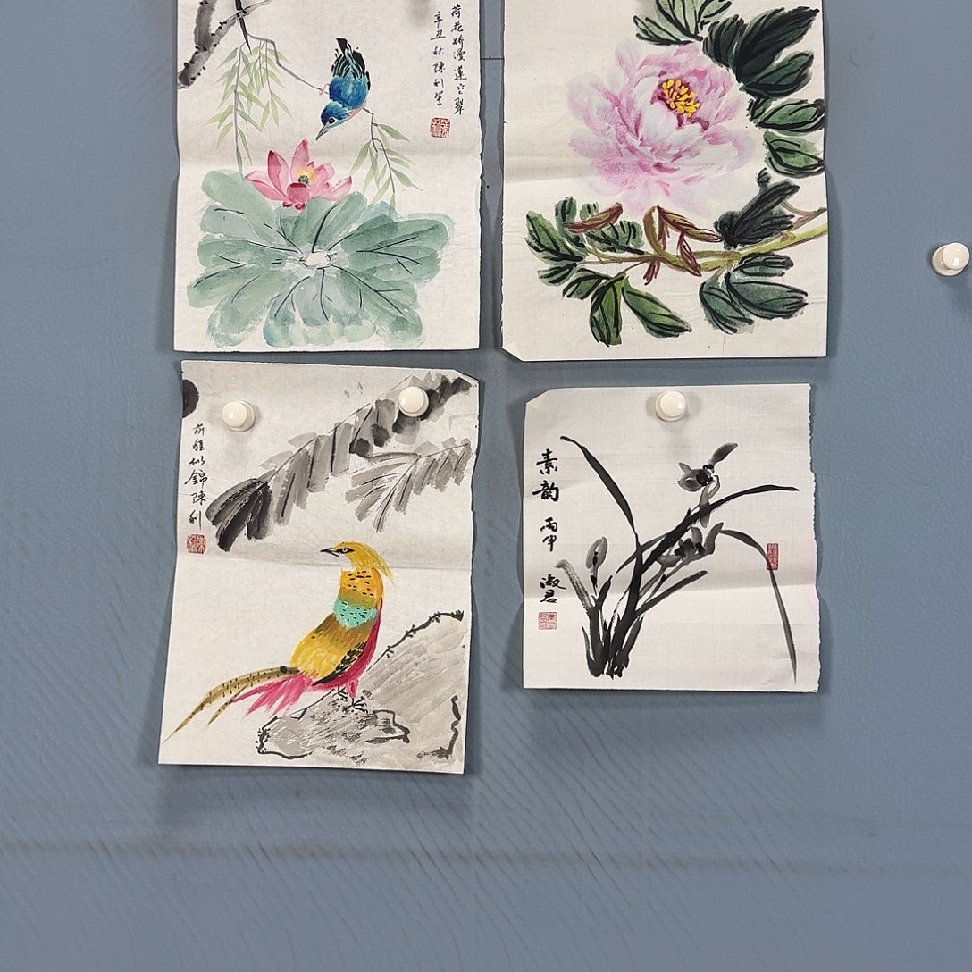 国画651 牡丹一如您的脸颊美丽