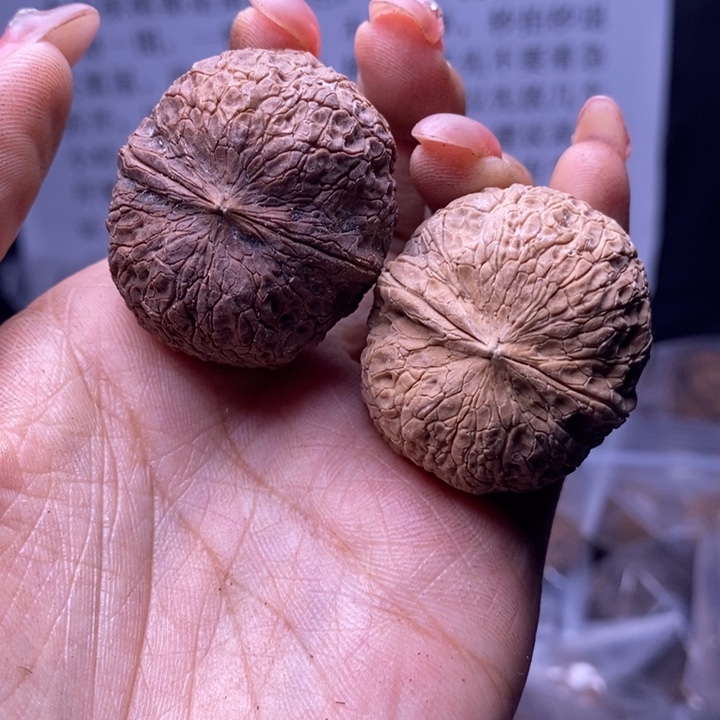 核桃云南野生铁核桃191号36mm