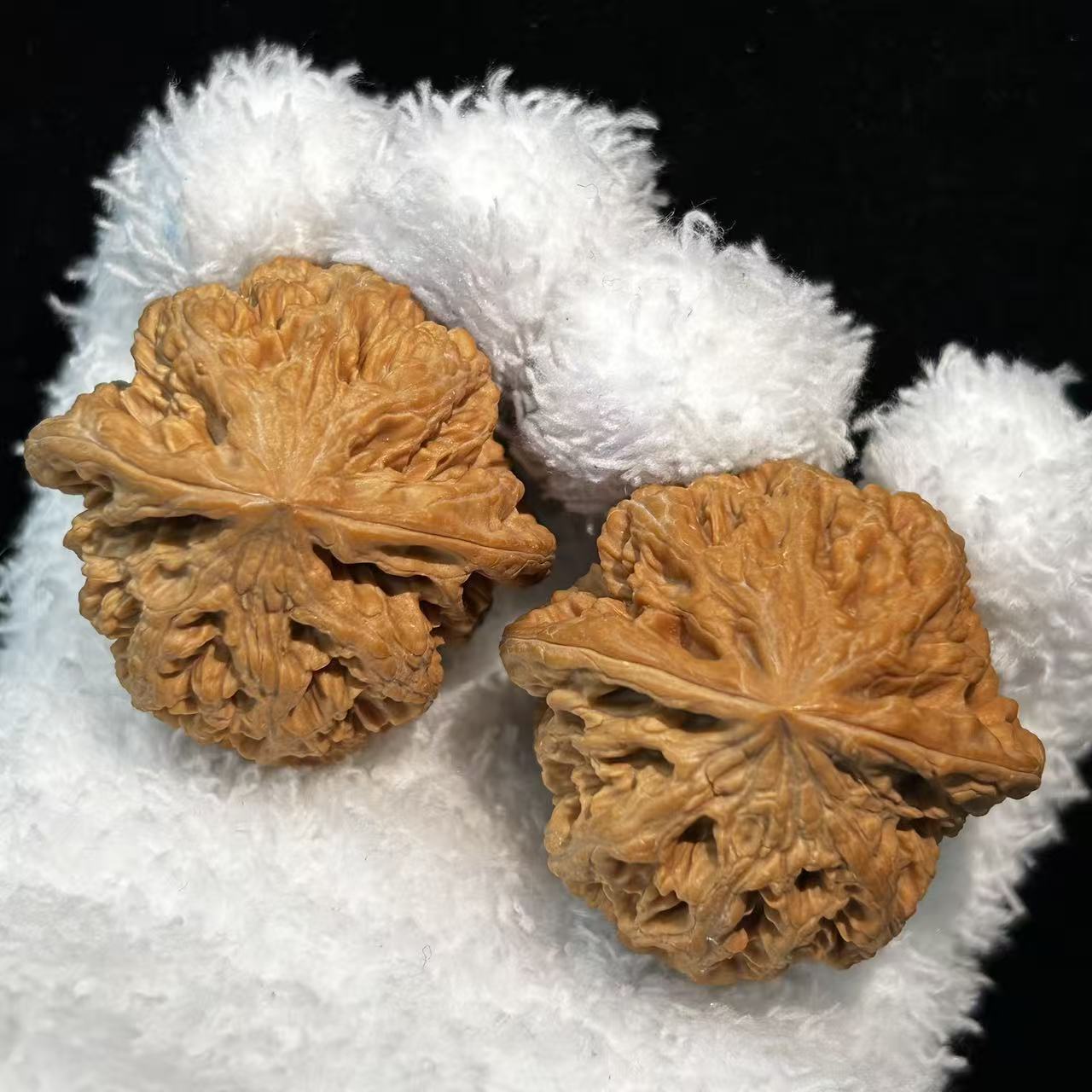 全品白茬大粗筋--D049