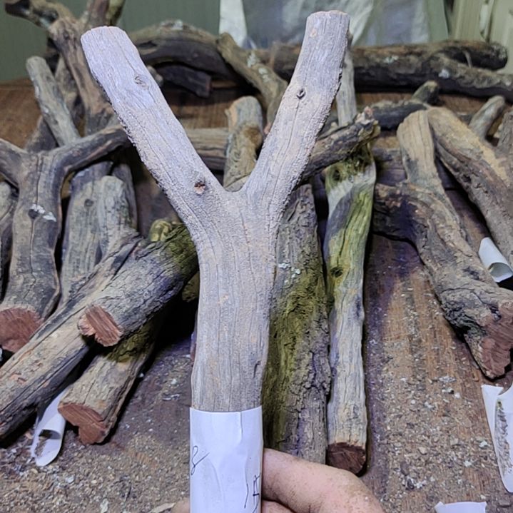 6***8火琉璃原杈不保沉水慎拍！