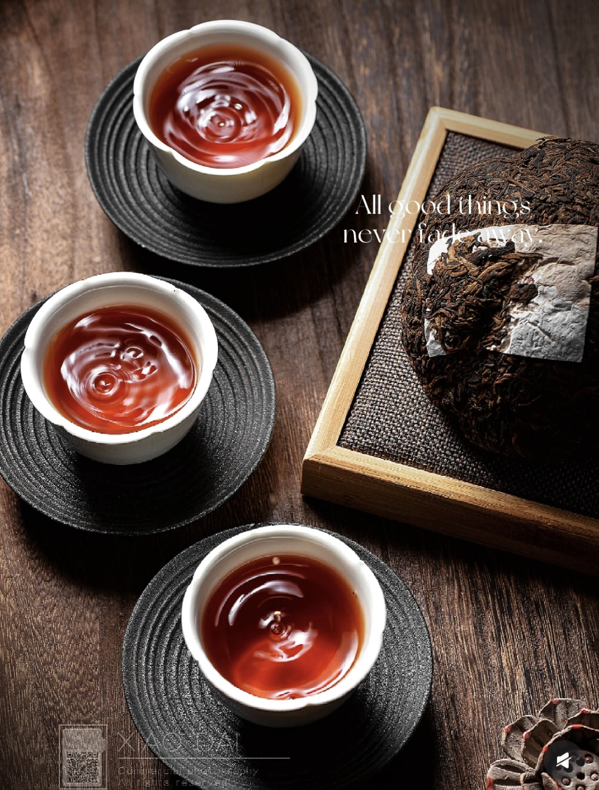 澜沧古茶  首批秦权壶