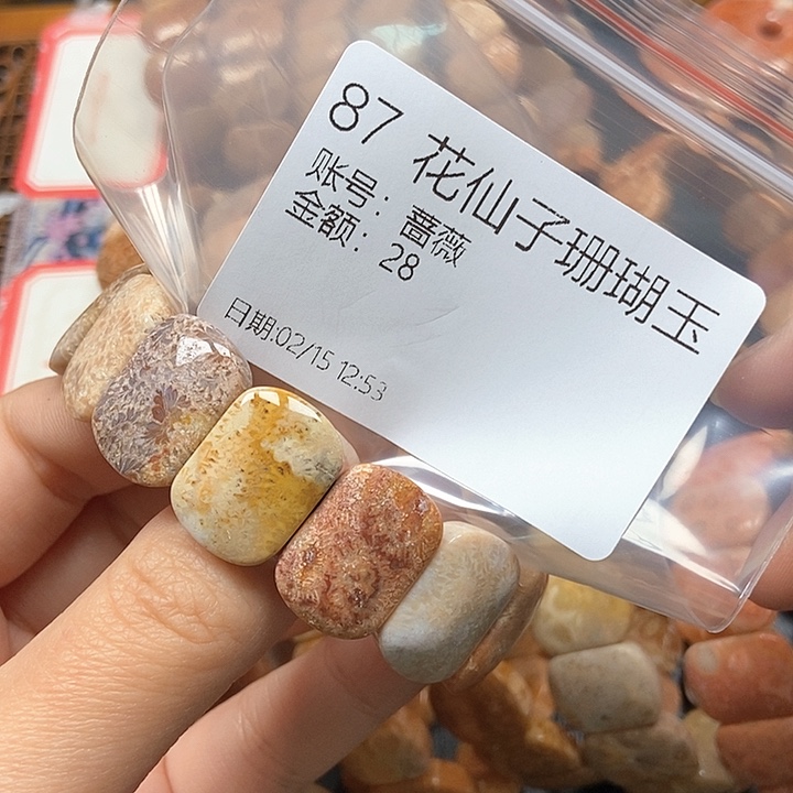 硅化珊瑚（珊瑚玉）手镯未镶嵌蔷*87