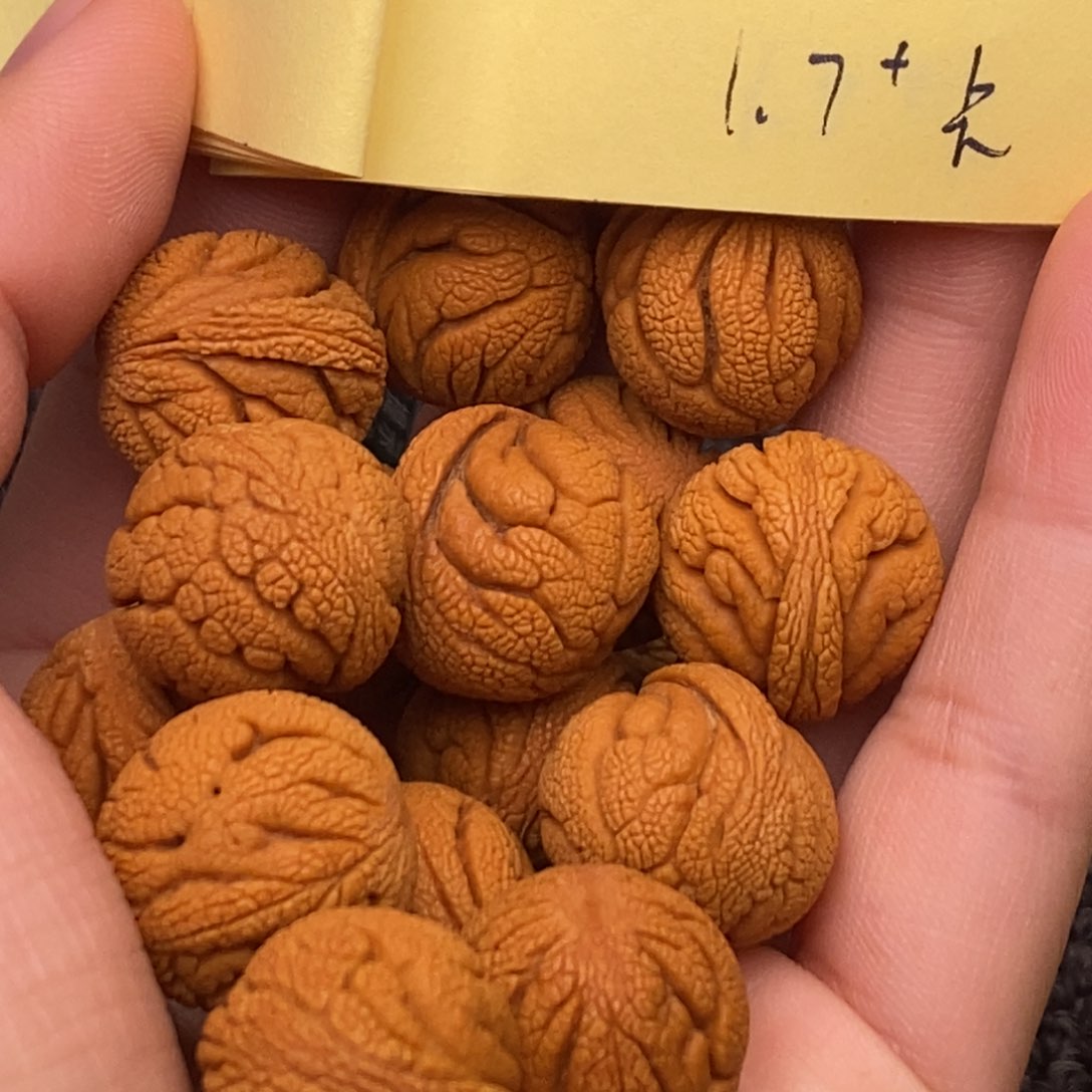 秦岭山脉龙纹桃核 14