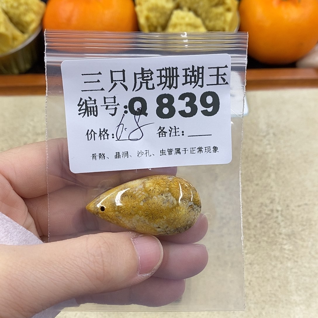硅化珊瑚（珊瑚玉）1未镶嵌莉**的