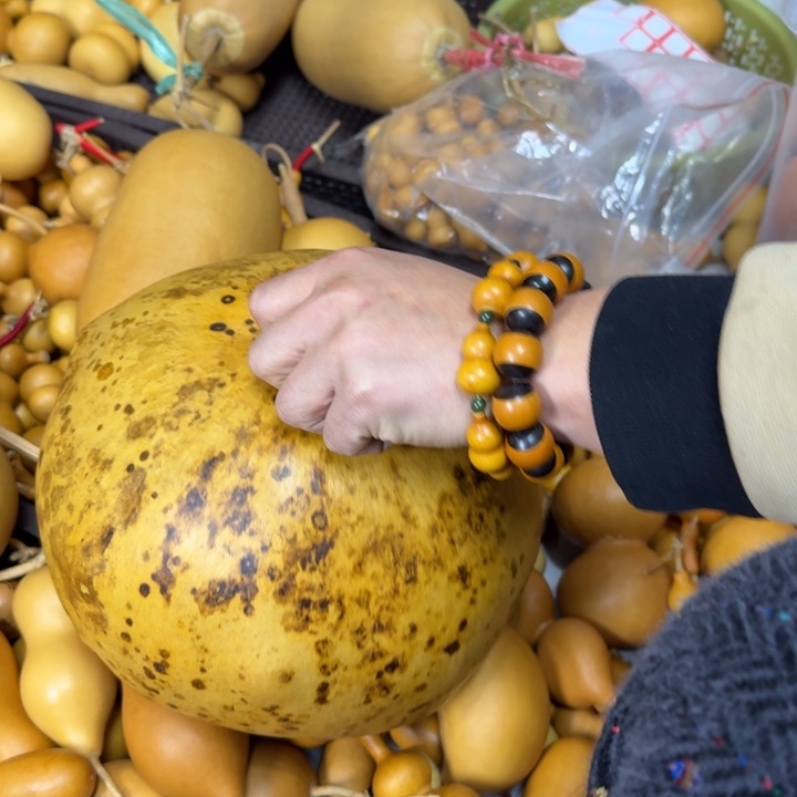 刘***井竹类豹纹葫芦磨盘财报