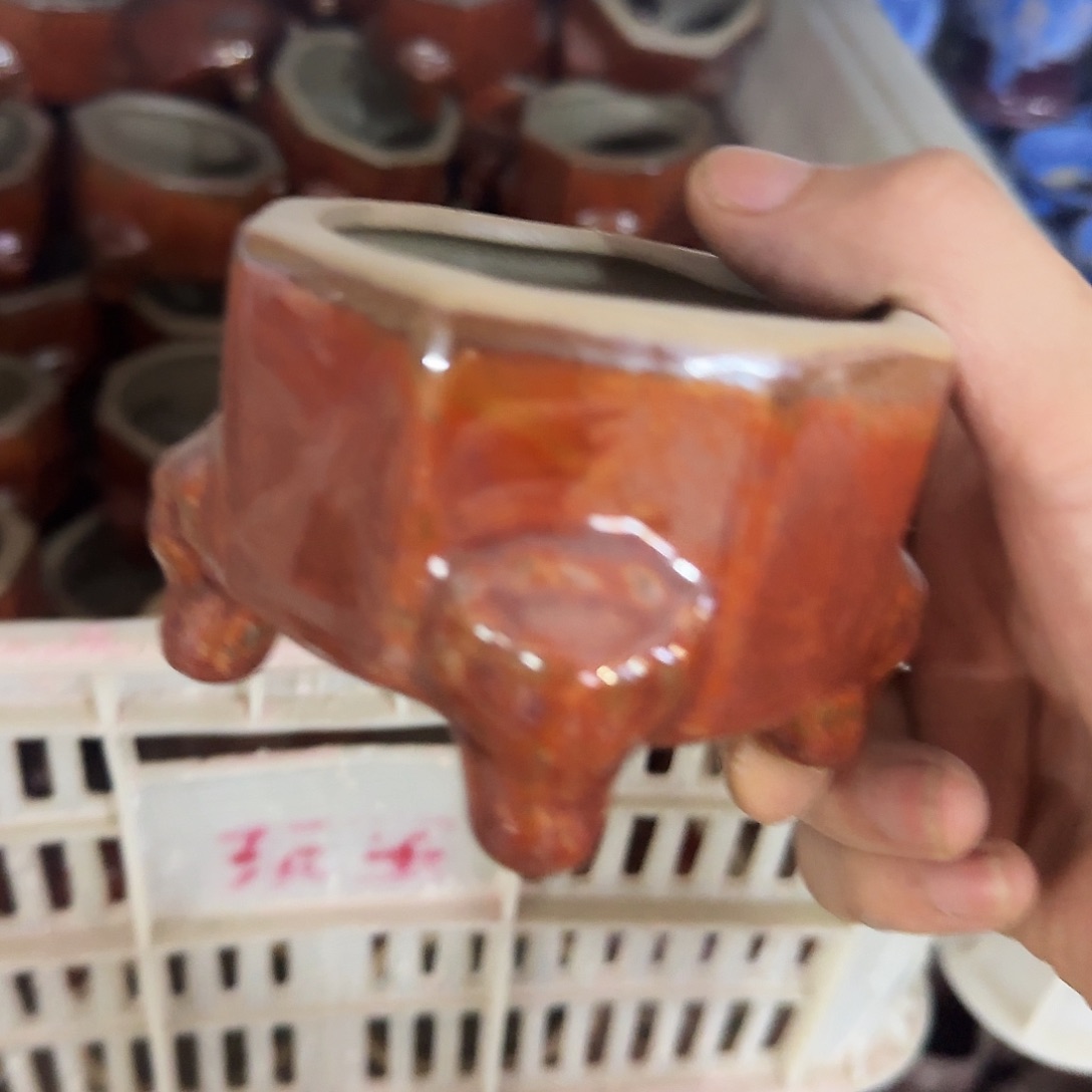 ··福利局·订单满9元合并发··6035