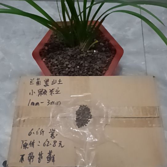 ****花兰菌黑山土小颗粒6.6斤