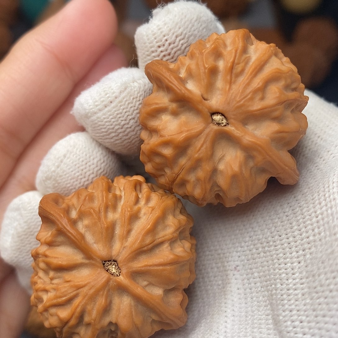 把件文玩核桃金牛全品36