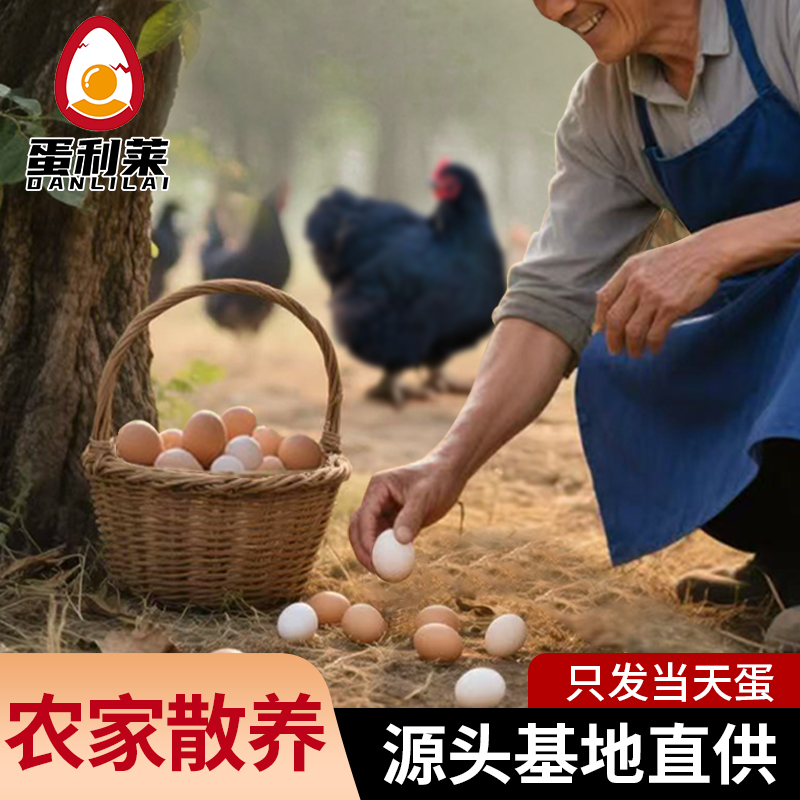 【助农特惠】50枚新鲜土鸡蛋农家散养五谷喂养真正土鸡蛋现捡现发