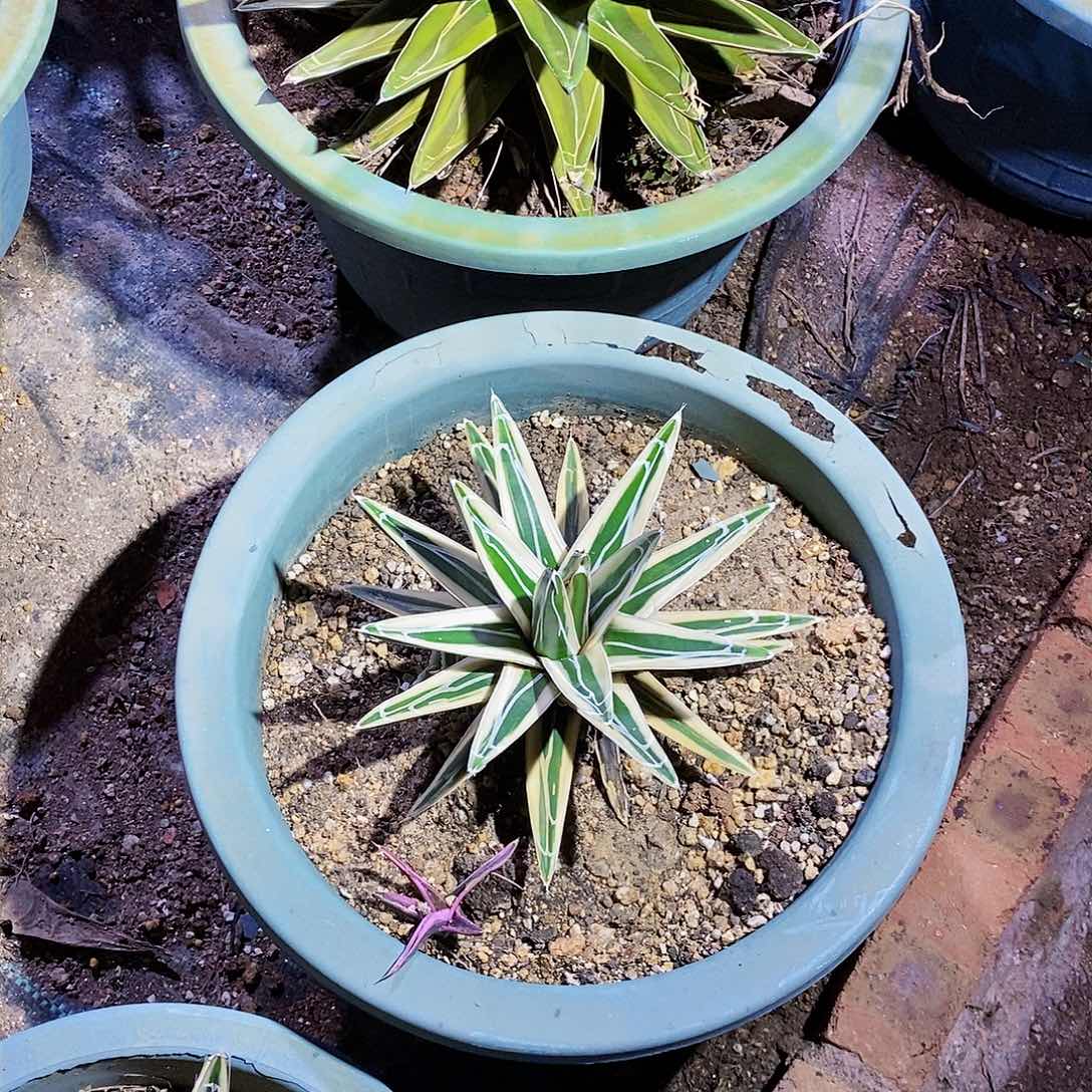 钱***恼冰山一颗1111111111