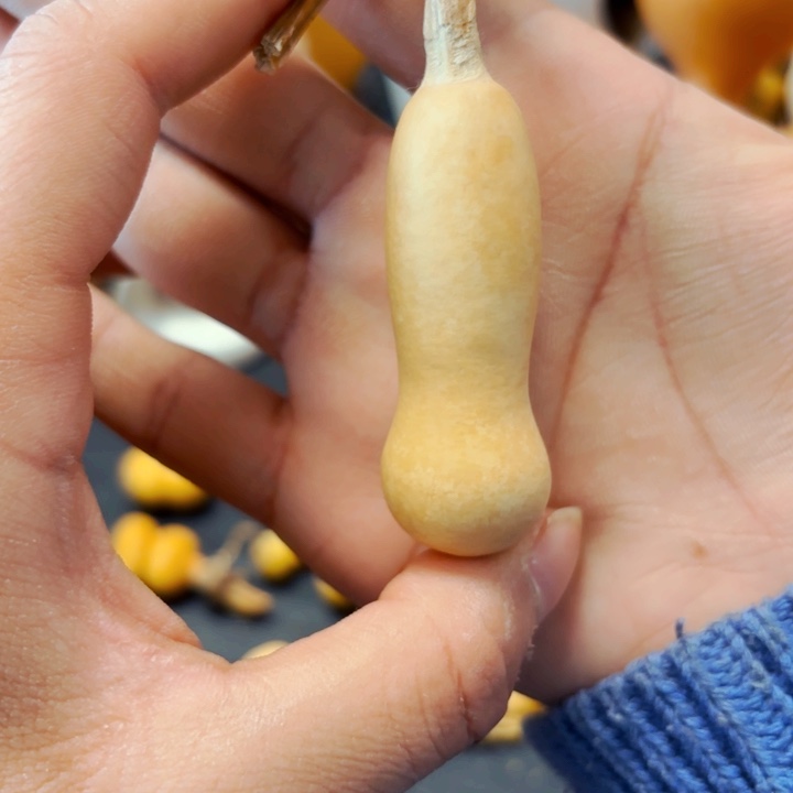 _****。888998988888888888888