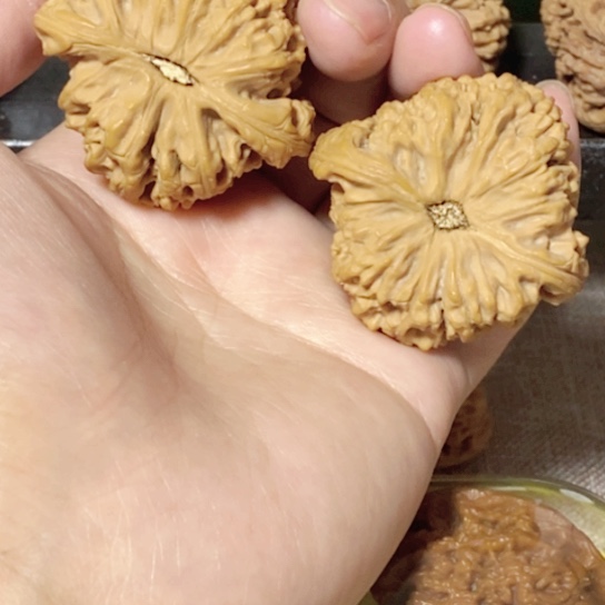 文玩核桃把件摩**啦今天