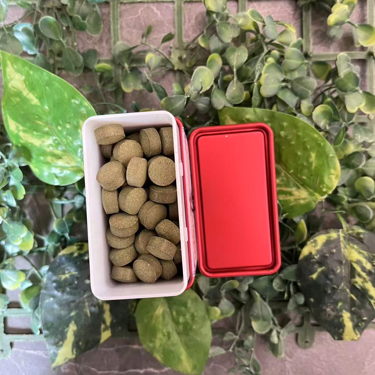  雨腾古茶  "P提J世 千W倍 T果"YW片30g/盒（12月12）