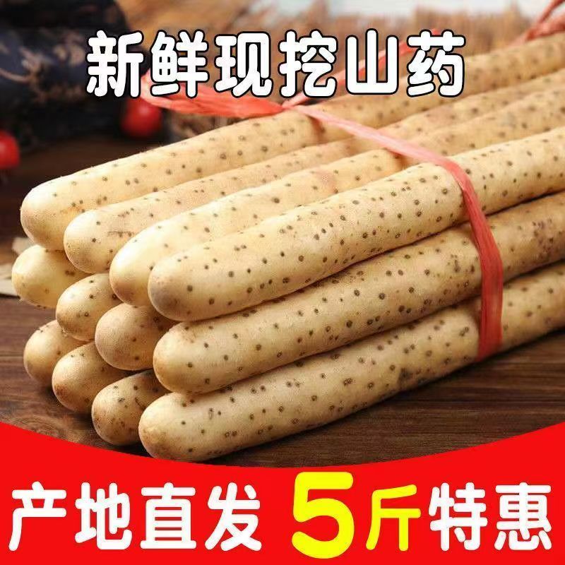 正宗老品种小白嘴山药粉糯香甜产地直发5斤