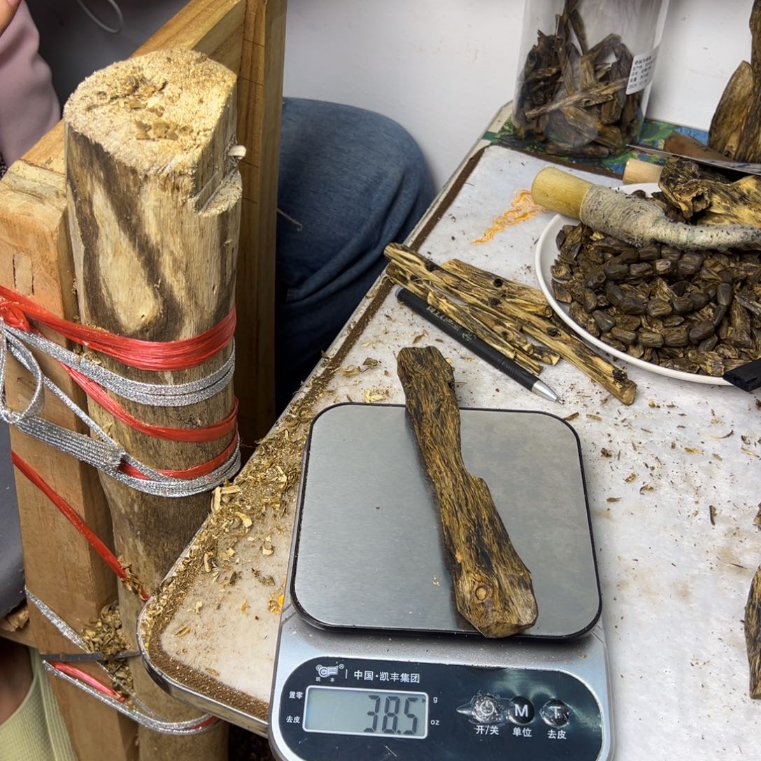 线香奇楠虫漏香38克