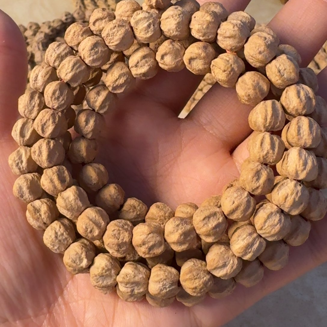 菩提籽类微磨金豆福利款