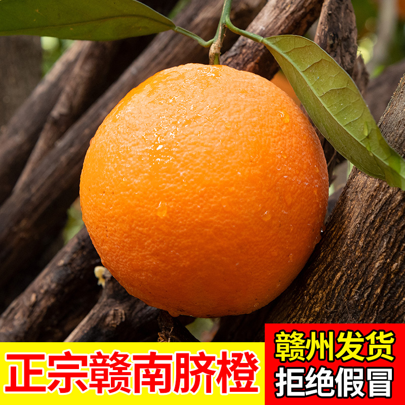 京东包邮  正宗江西赣南脐橙寻乌新鲜采摘果园直发香甜多汁现发