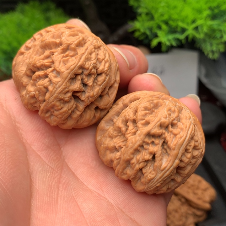 吊坠文玩核桃41尺粗筋