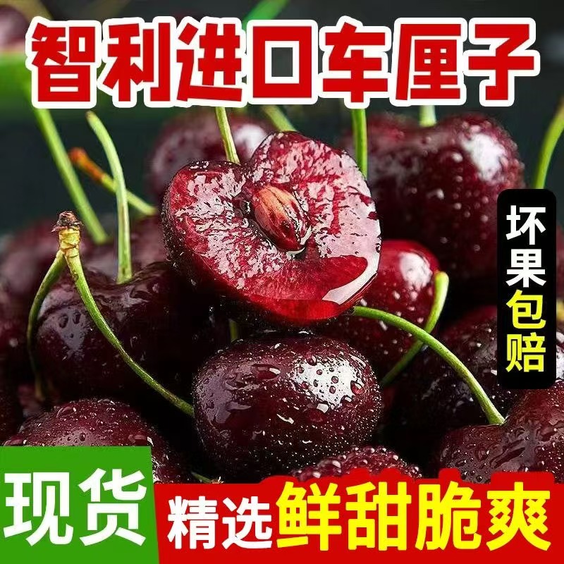 【亮哥专属】智利进口桑提娜空运车厘子4J内附果径卡