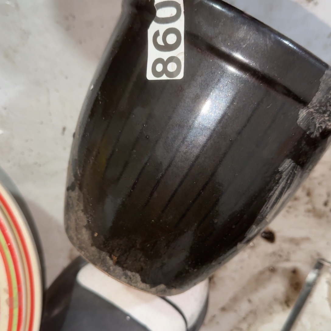 常***张茶盏好喜欢你这个造型诶小女孩太棒