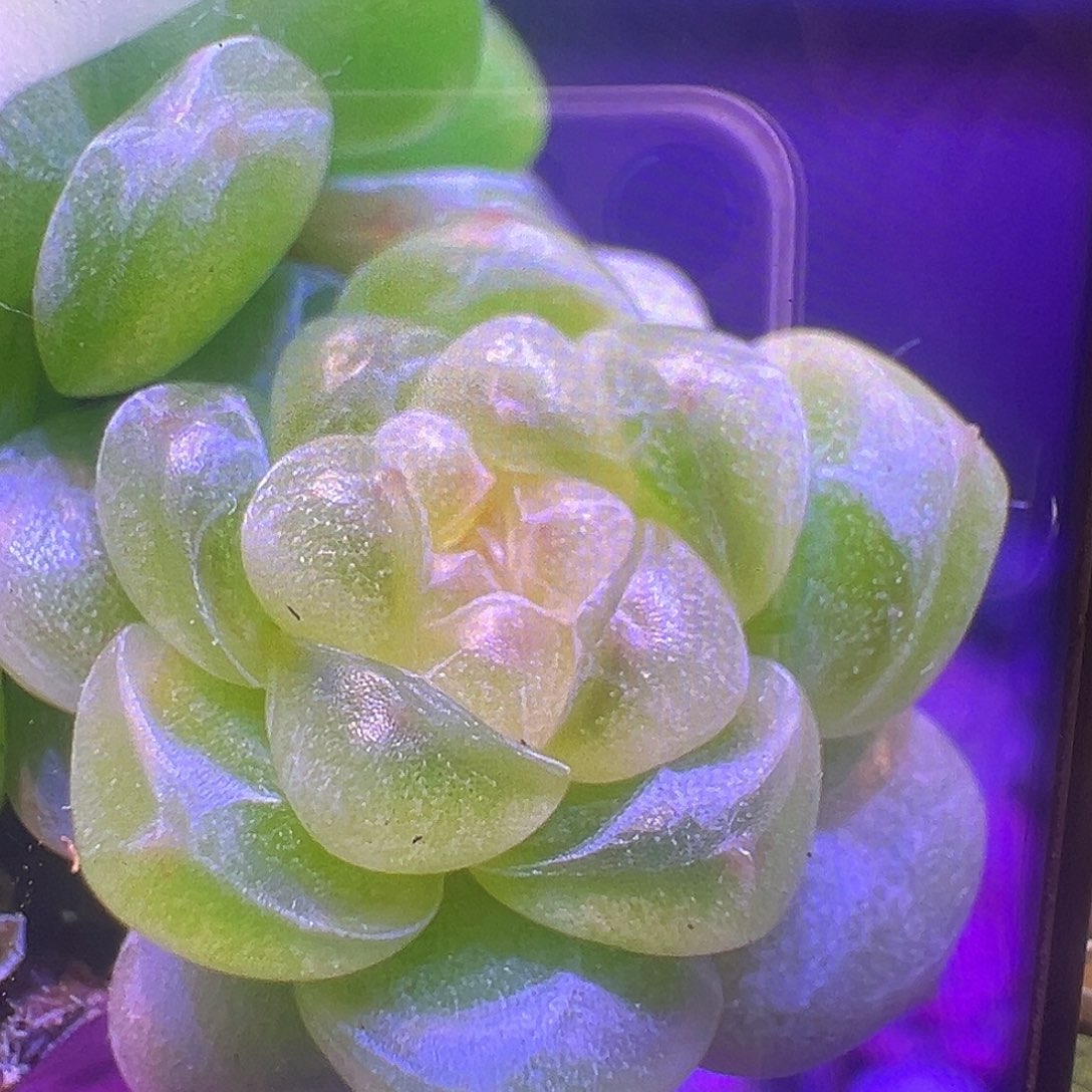 财富密码Ct状态图。 