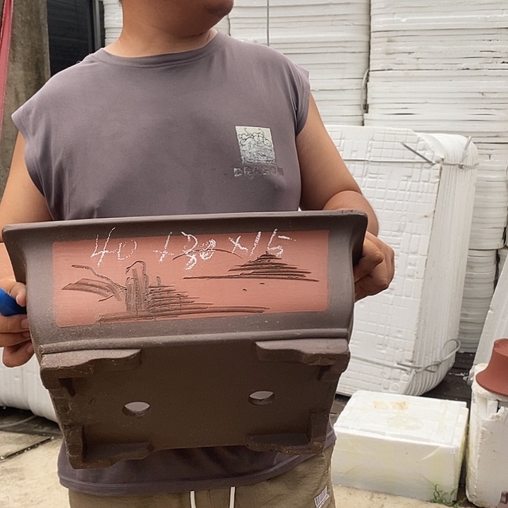 紫砂花盆盆栽植物花卉苗木种植