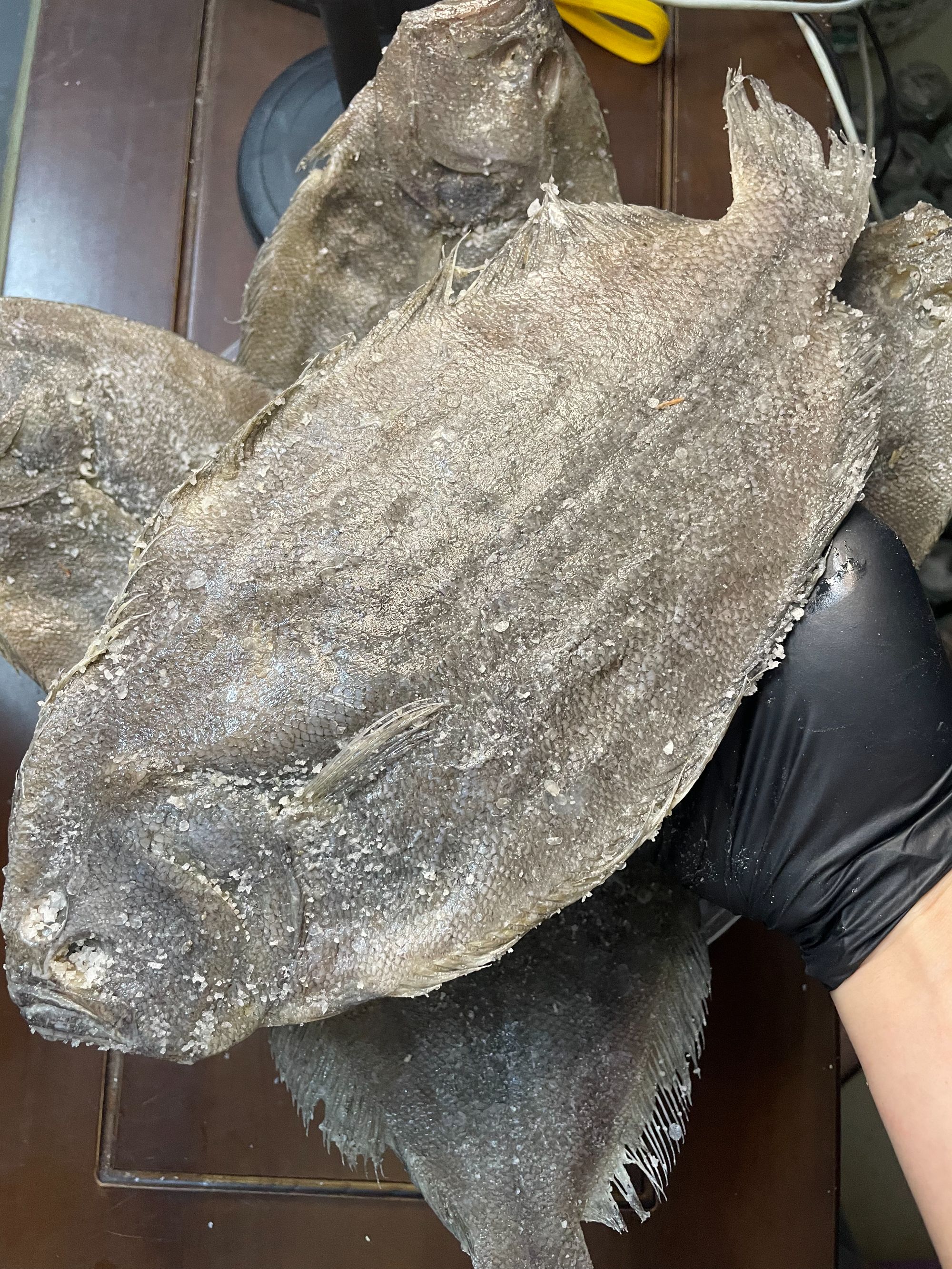 汕尾特产 干盐 大地鱼  就船铁哺解