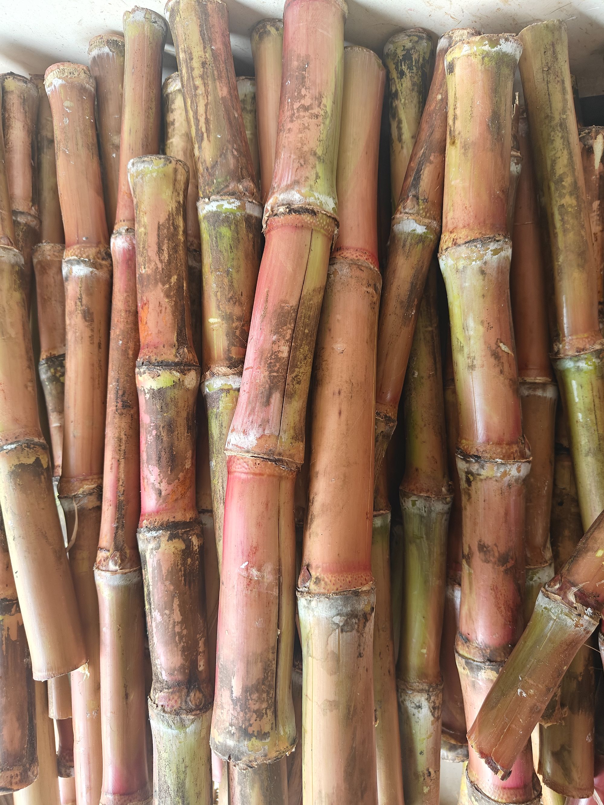 云南红皮脆皮甘蔗有裂口不影响食用和口感福利款（有裂口介意别拍）