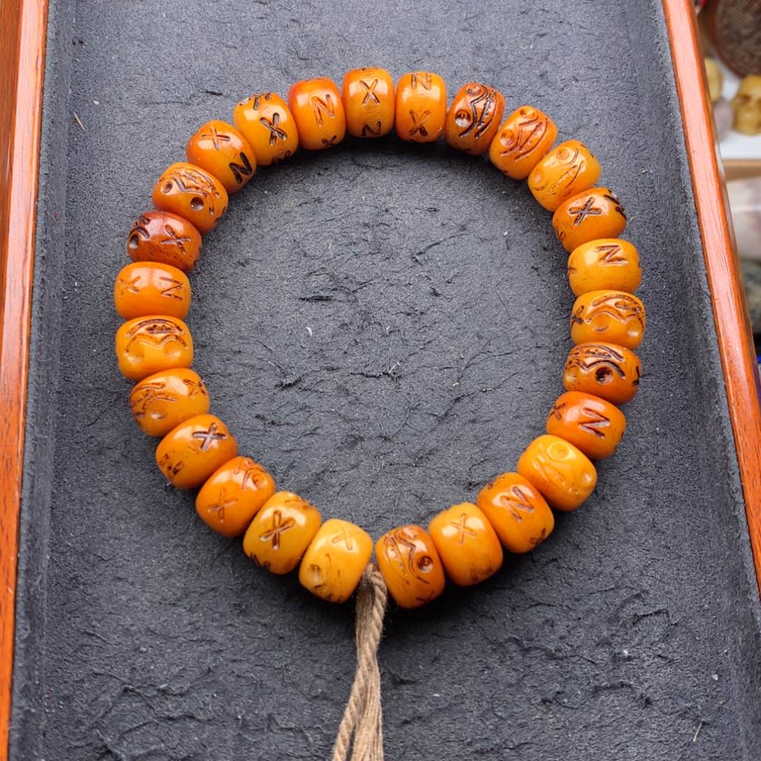 其他驼骨12驼骨阿呆手持