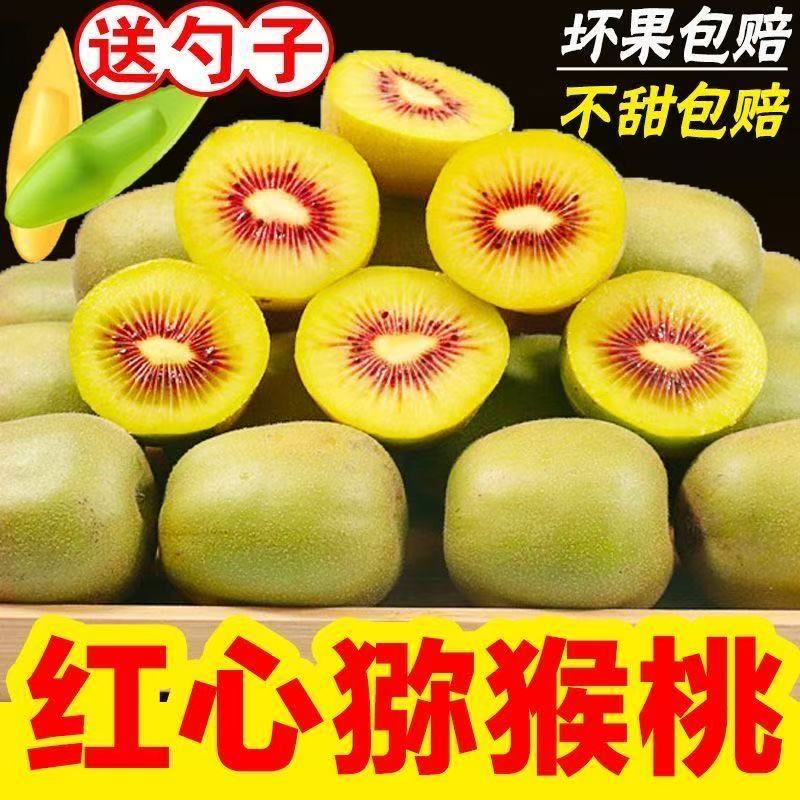 L正宗四川蒲江红心猕猴桃奇异果当季新鲜水果50g-130g(10-24粒)
