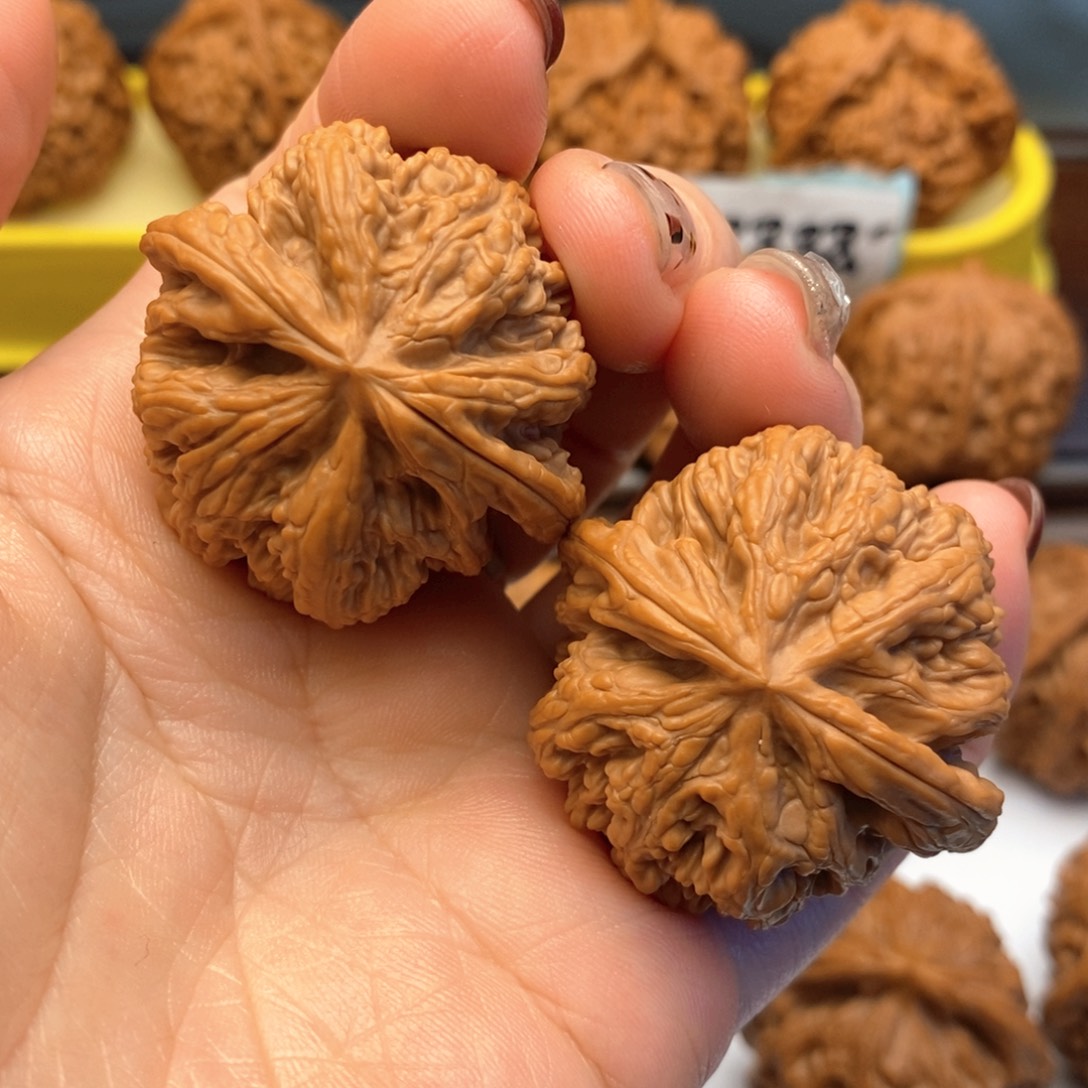 文玩核桃把件39尺全品粗筋