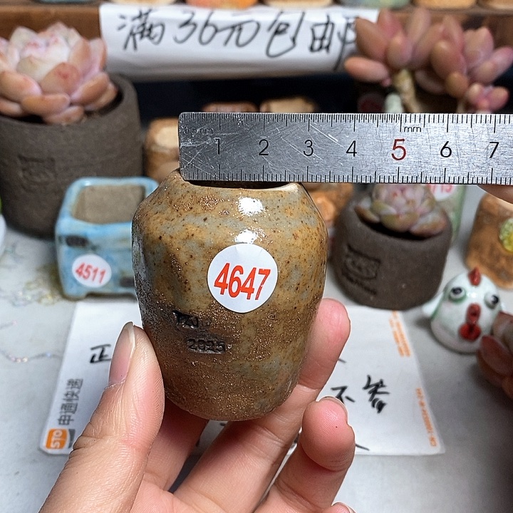 红陶拍5送一个小