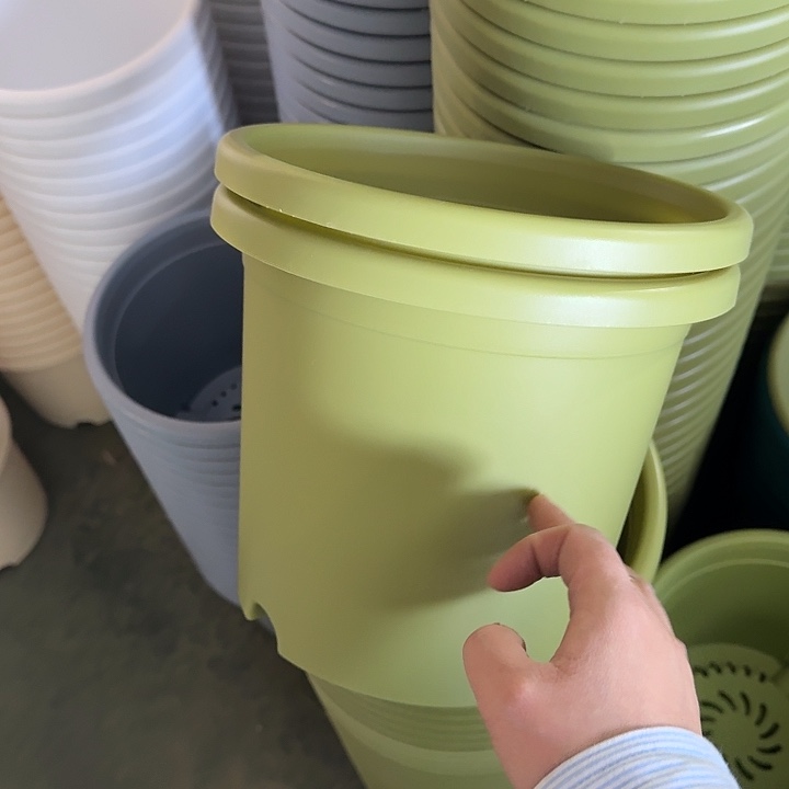 微瑕4#果绿10个无托