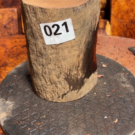 大果紫檀（缅甸花梨）