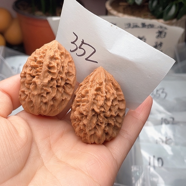 36尺寸白茬无修磕碰老鼠